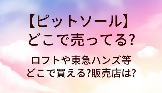 ピットソールはどこで売ってる?ロフトや東急ハンズ等どこで買える?販売店は?