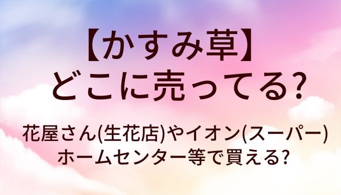かすみ草はどこに売ってる?花屋さん(生花店)やイオン(スーパー)・ホームセンター等で買える?