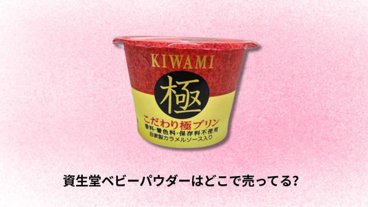 極プリンはどこで売ってる?
