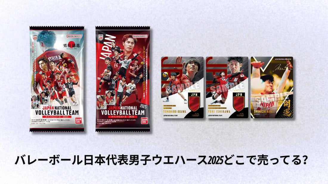 バレーボール日本代表男子ウエハース2025どこで売ってる？購入場所と最安値情報紹介