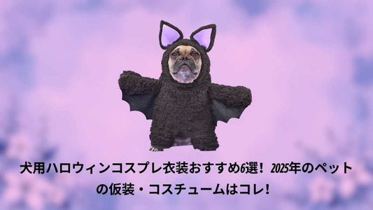犬用ハロウィンコスプレ衣装おすすめ6選！2025年のペットの仮装・コスチュームはコレ！