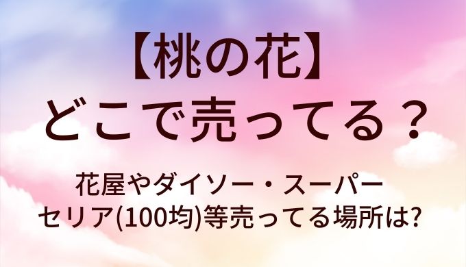 桃の花はどこで売ってる?花屋やダイソー・スーパーやセリア(100均)等売ってる場所は?