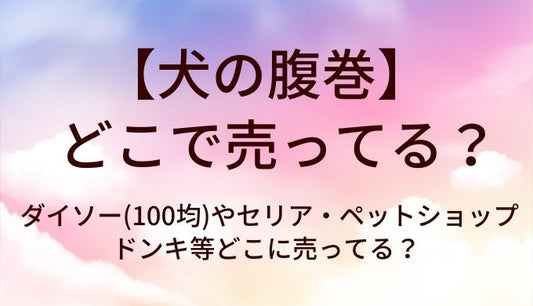 犬の腹巻はダイソー(100均)で売ってる？セリアやペットショップ・ドンキ等どこに売ってる？